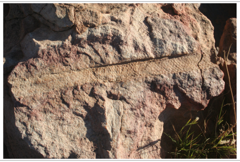 Figure 6. Screenshot showing the Die Mond South plant fossil from the Eastern Cederberg rock art site — Managing cultural heritage: information systems architecture
